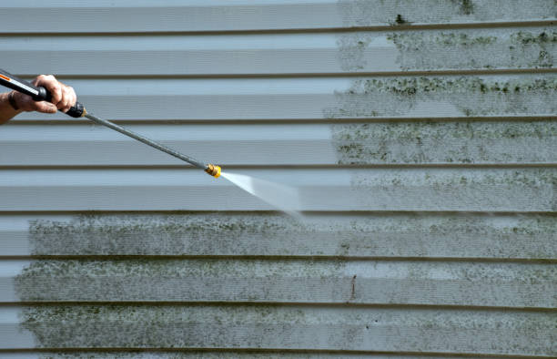 Best Fence Cleaning  in South Gate Ridge, FL